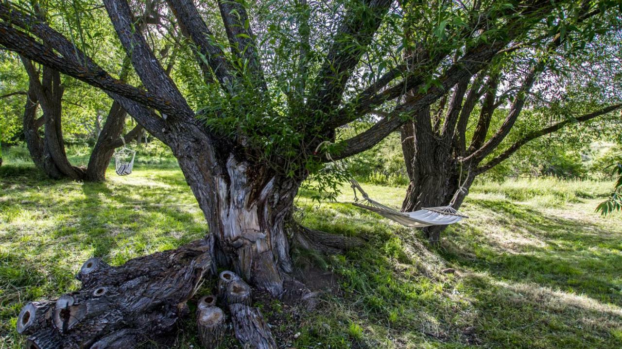 Masia El Cabrero Villarroya de los Pinares Экстерьер фото